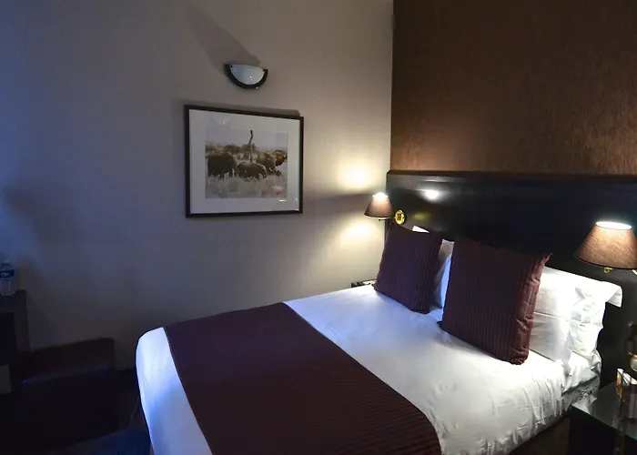 Western Cosy 4* ניס